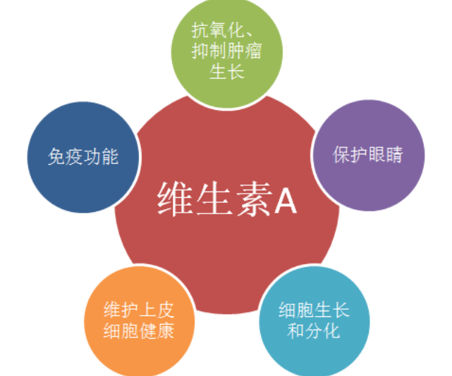 外阴白斑患者在康复过程中吃哪些食物好的快? 外阴白斑患者在康复过程中吃哪些食物好的快?
