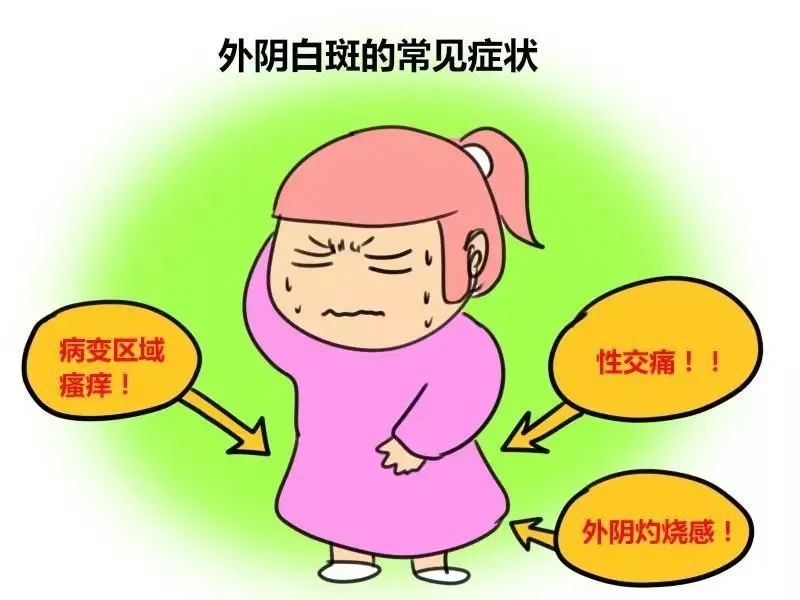 外阴白斑分为哪几种类型? 外阴白斑分为哪几种类型?