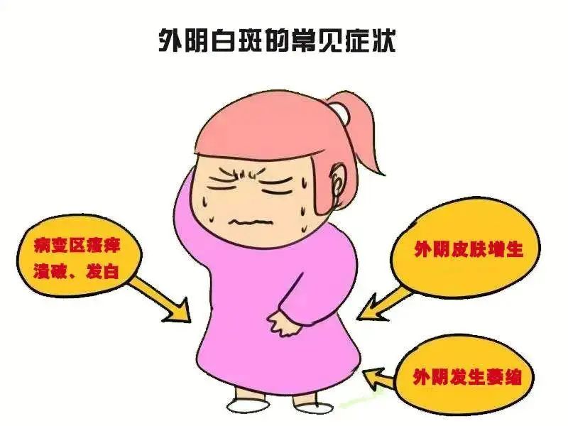 哪些女性容易患上外阴白斑? 哪些女性容易患上外阴白斑?